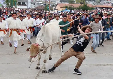Exploran la relación de animales y humanos Exploran la relación de animales y humanos