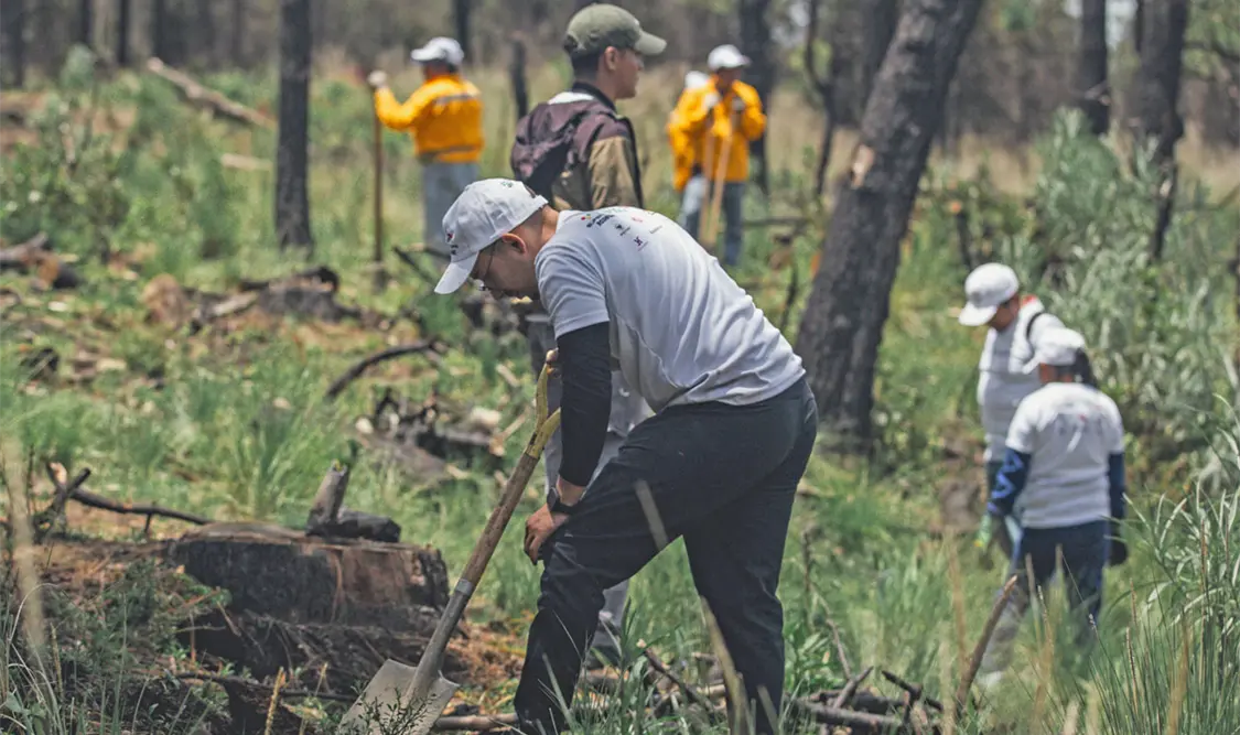 La campaña busca fortalecer la conservación ambiental en Cumbres de Majalca. Cortesía