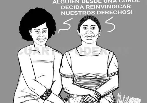 Pueblos ind&iacute;genas y afromexicanos