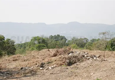 Can&iacute;cula: piden no ser alarmistas a temporada