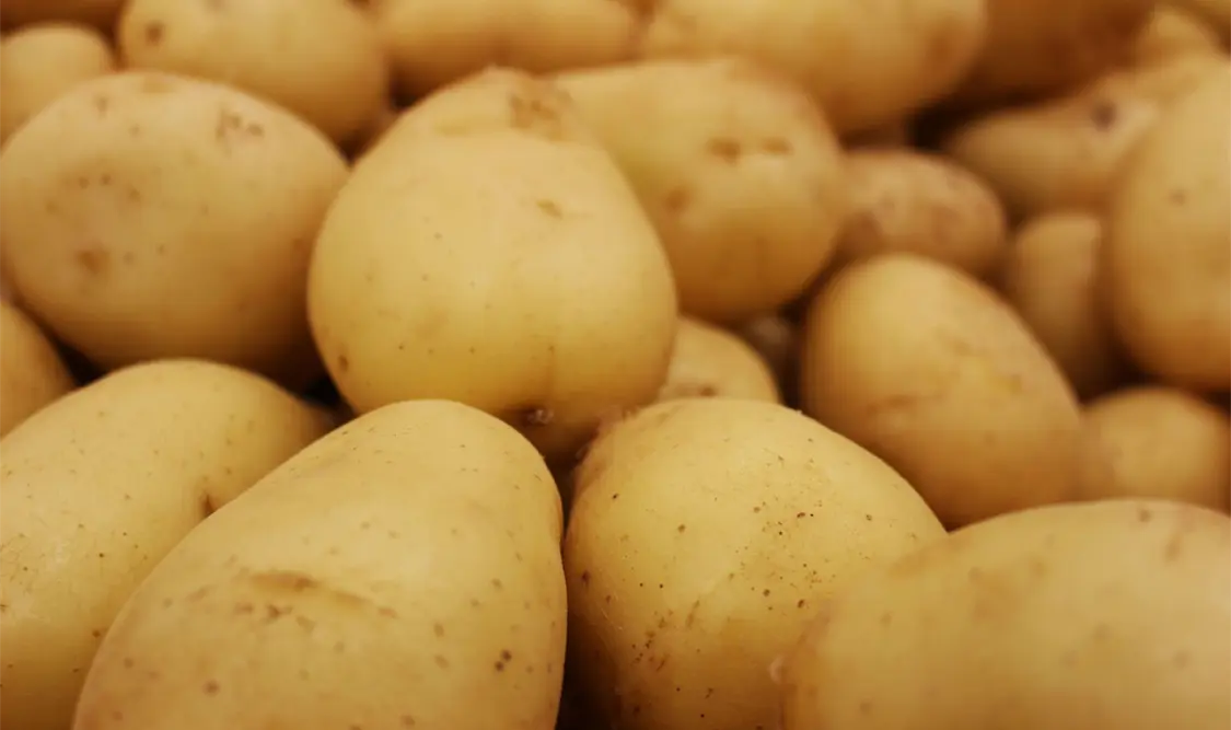 En la central de abasto de la ciudad, el producto se vende entre 20 y 25 pesos por kilogramo al mayoreo. CP