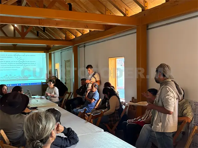Reglamento de ecología no debe ser antropocentrista Reglamento de ecología no debe ser antropocentrista