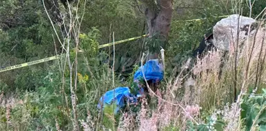 Se ahorca menor en &aacute;rbol; estaba desaparecido