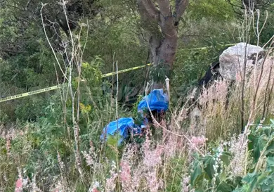Se ahorca menor en &aacute;rbol; estaba desaparecido