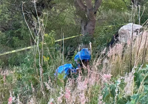 Se ahorca menor en &aacute;rbol; estaba desaparecido
