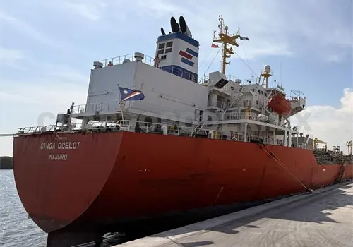 Arriban 2 mil toneladas de aceite de soya