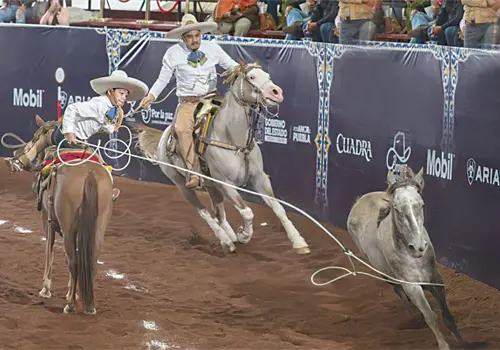 Atletas destacan en el nacional infantil Atletas destacan en el nacional infantil