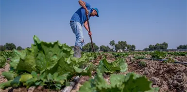 Piden más presupuesto en sanidad Piden más presupuesto en sanidad