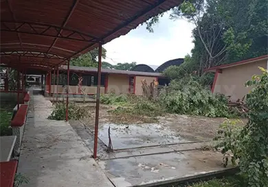Derriban &aacute;rboles en prepa de Huixtla