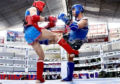 Celebran función Lions Fight 6 Celebran función Lions Fight 6