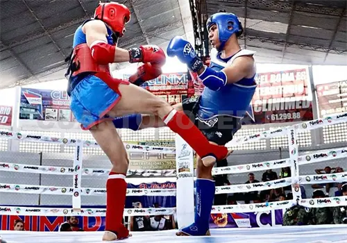 Celebran funci&oacute;n Lions Fight 6