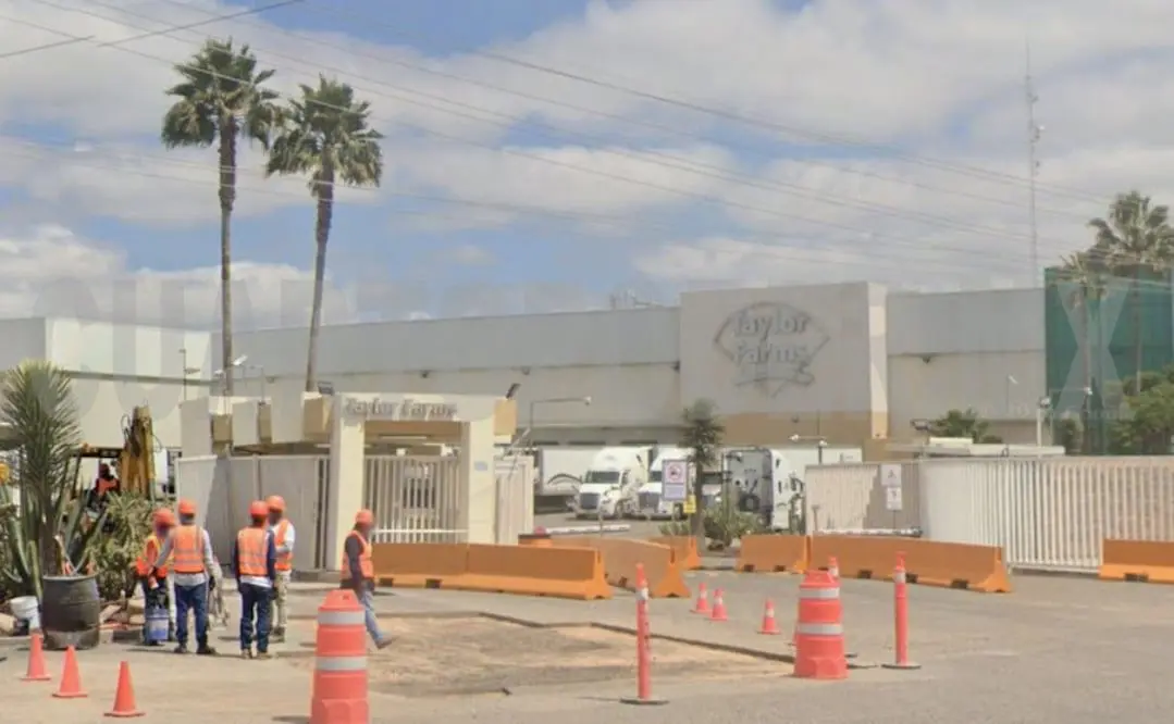 Cierre temporal de planta Taylor Farms es voluntario