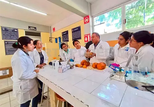 Ofrecen Maestr&iacute;a en Ciencias Agroforestales