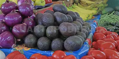 Aguacate: un lujo para las familias