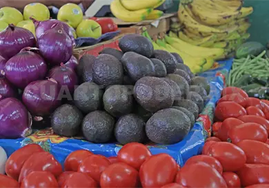 Aguacate: un lujo para las familias