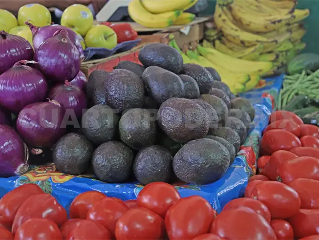 Aguacate: un lujo para las familias
