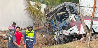 Autob&uacute;s sale del camino y embiste a varias palmeras
