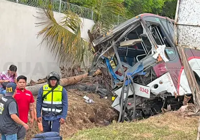 Autob&uacute;s sale del camino y embiste a varias palmeras