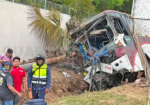 Autob&uacute;s sale del camino y embiste a varias palmeras