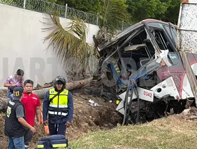 Autob&uacute;s sale del camino y embiste a varias palmeras
