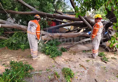 Lluvia genera afectaciones en la región Metropolitana Lluvia genera afectaciones en la región Metropolitana