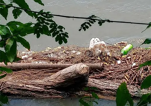 Localizan a hombre sin vida en el r&iacute;o Suchiate
