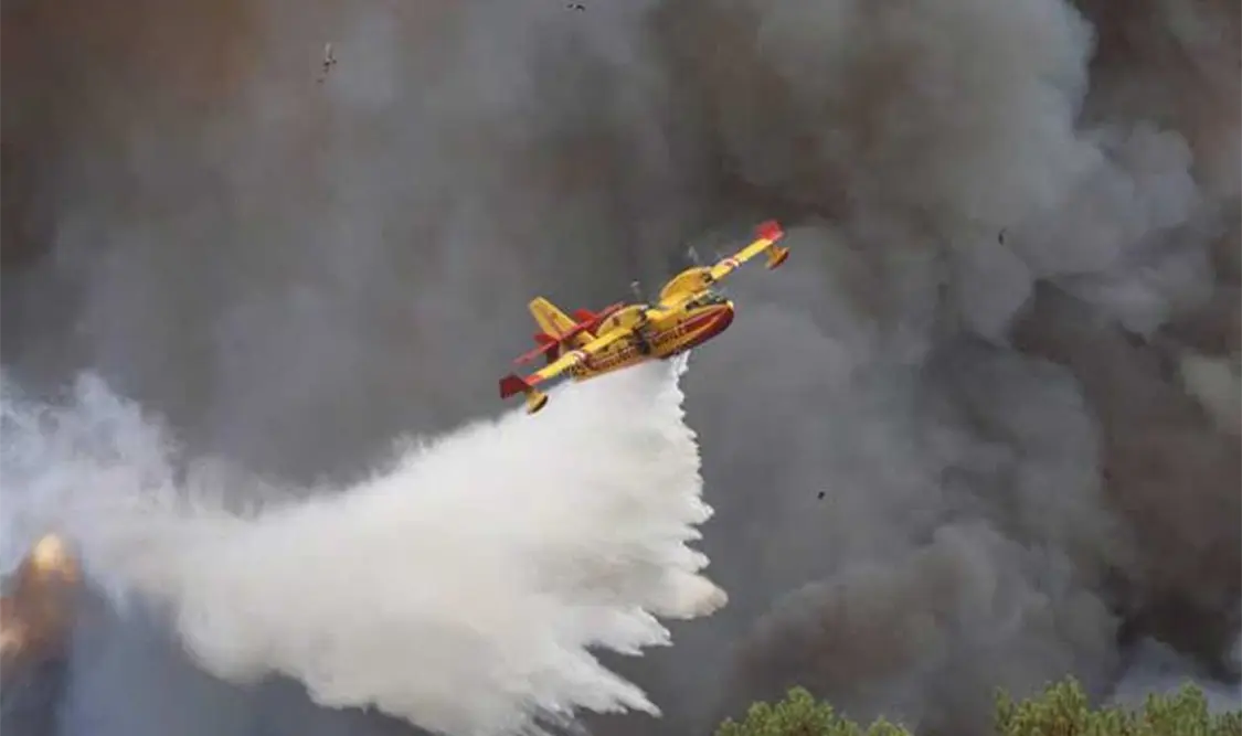 Los siniestros generan devastación y evacuaciones. Cortesía