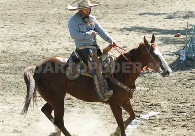 Torneo Santo Domingo reúne a los mejores Torneo Santo Domingo reúne a los mejores