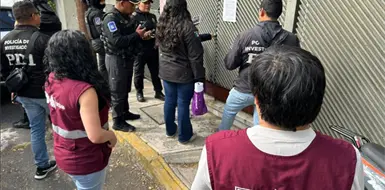 Identifica fiscal&iacute;a redes dedicadas al despojo