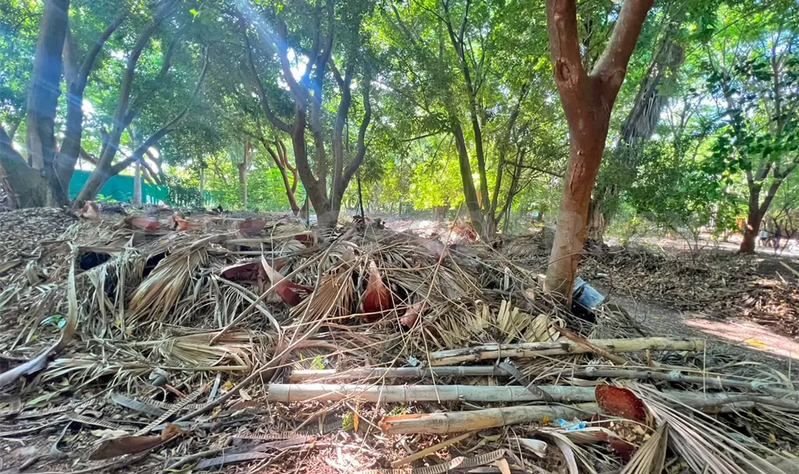 Aspecto del basurero en la zona dentro del propio parque. CP