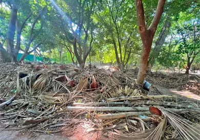 Piden atenci&oacute;n a secci&oacute;n del parque del Oriente