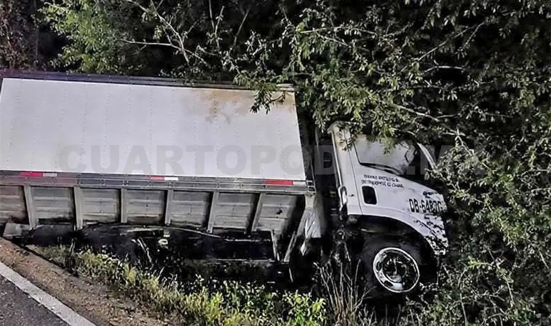 El camión de carga volcó entre la maleza luego de que el chofer supuestamente se quedara dormido. Cortesía