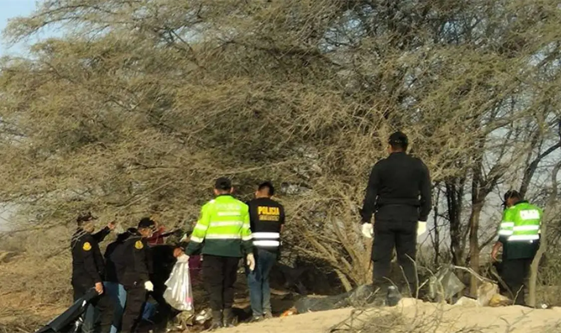 Avioneta con turistas se desploma en Perú. Cortesía