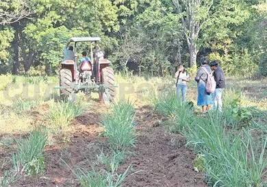 Intentan parar los efectos de ganader&iacute;a extensiva