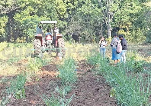 Intentan parar los efectos de ganader&iacute;a extensiva