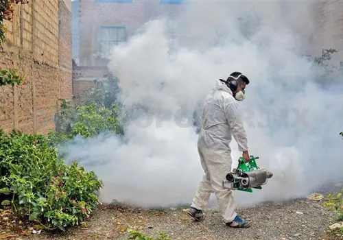 Hay menos casos de dengue que en 2025