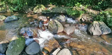 Intervendr&aacute;n en 131 microcuencas de Chiapas