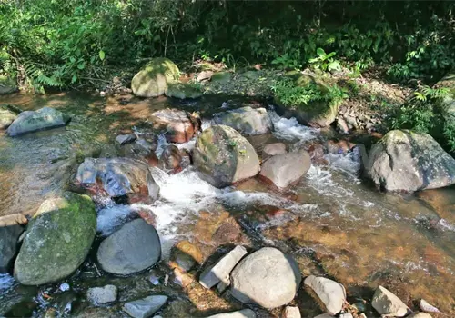 Intervendr&aacute;n en 131 microcuencas de Chiapas