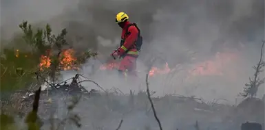 Los incendios afectan a Francia, Grecia e Italia