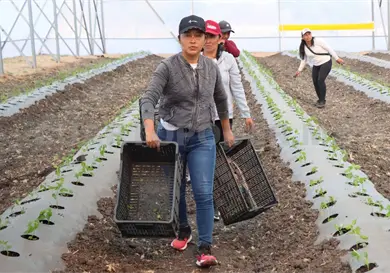 El campo, eje del crecimiento econ&oacute;mico