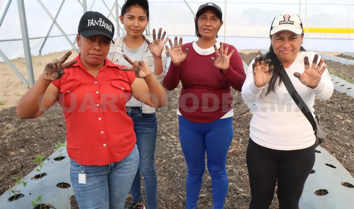 Fertilizantes para el Bienestar ha atendido a 354 mil 518 mujeres indígenas. Diego Pérez / CP