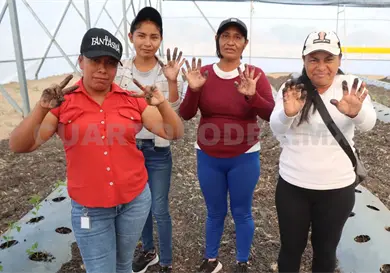 Chiapas con mayor n&uacute;mero de beneficiarios