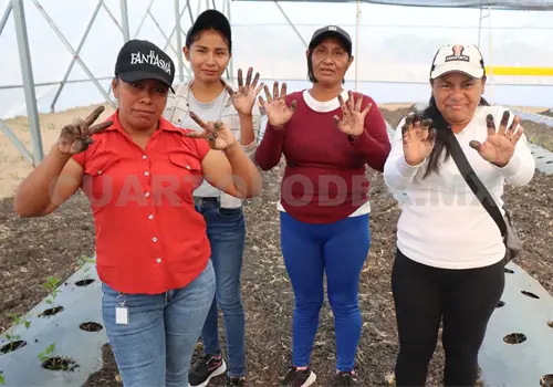 Chiapas con mayor n&uacute;mero de beneficiarios