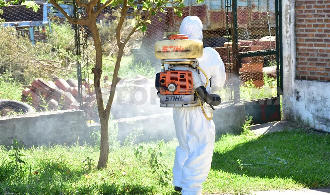 Se combina la fumigación con descacharramiento en las casas. CP