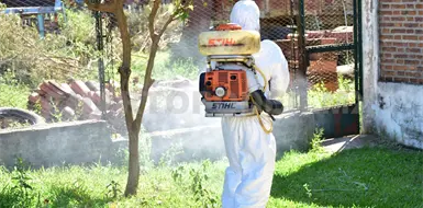 Intensifican combate al dengue en la ciudad