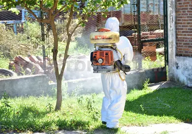 Intensifican combate al dengue en la ciudad