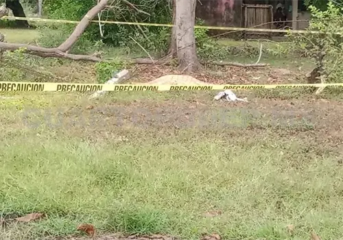 A balazos lo matan en el patio de su vivienda