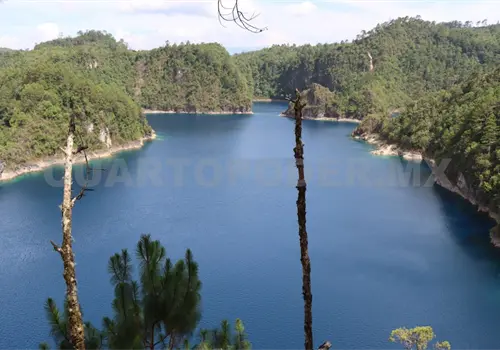 Turismo de naturaleza se está moviendo lento Turismo de naturaleza se está moviendo lento