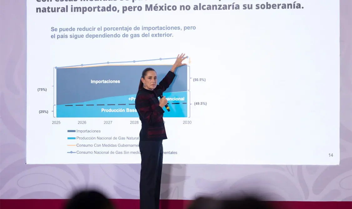 La titular del Ejecutivo destacó la colaboración con el grupo de expertos para conocer los impactos de la extracción de gas no convencional. Cortesía