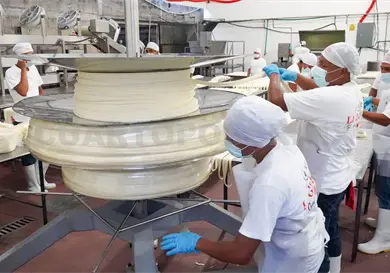 Se preparan para nuevo Récord Guinness Se preparan para nuevo Récord Guinness